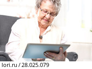 grandma and the computer. an elderly woman with a tablet. retired,entertainment on the internet. Стоковое фото, фотограф Robert Przybysz / PantherMedia / Фотобанк Лори