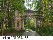 Разрушенные романтические въездные ворота из железобетона (1914). Усадьба Заветное. Новгородская область, Россия (2017 год). Стоковое фото, фотограф Pukhov K / Фотобанк Лори