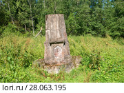 Детали разрушенного фонтана из железобетона (1914). Усадьба Заветное. Новгородская область, Россия (2017 год). Стоковое фото, фотограф Pukhov K / Фотобанк Лори