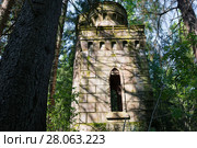Разрушенная романтическая часовня-гробница (1914). Усадьба Заветное. Новгородская область (2017 год). Стоковое фото, фотограф Pukhov K / Фотобанк Лори