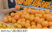 Woman buying fresh grapefruits at grocery store. Стоковое видео, видеограф Aleksey Popov / Фотобанк Лори
