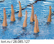 Synchronized swimming, legs. Стоковое фото, фотограф Vasily Smirnov / Фотобанк Лори