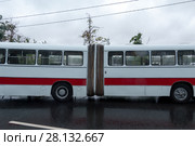 Москва. День московского транспорта, выставка на Фрунзенской набережной. Автобус Ikarus-180 (2017 год). Редакционное фото, фотограф Дмитрий Щукин / Фотобанк Лори