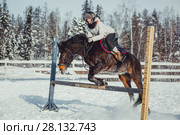 Winter teenage girl jump horse ride jumping. Стоковое фото, фотограф Julia Shepeleva / Фотобанк Лори