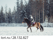 Winter teenage girl jump horse ride jumping. Стоковое фото, фотограф Julia Shepeleva / Фотобанк Лори