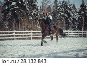Winter teenage girl jump horse ride jumping. Стоковое фото, фотограф Julia Shepeleva / Фотобанк Лори