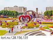 Парк цветов в Дубае (Dubai Miracle Garden). Объединённые Арабские Эмираты (2014 год). Редакционное фото, фотограф Сергей Афанасьев / Фотобанк Лори