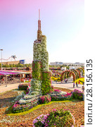 Парк цветов в Дубае (Dubai Miracle Garden). Объединённые Арабские Эмираты (2014 год). Редакционное фото, фотограф Сергей Афанасьев / Фотобанк Лори