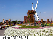 Парк цветов в Дубае (Dubai Miracle Garden). Объединённые Арабские Эмираты (2014 год). Редакционное фото, фотограф Сергей Афанасьев / Фотобанк Лори