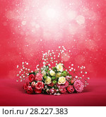 Blossom of beautiful flowers roses. Стоковое фото, фотограф ElenArt / Фотобанк Лори