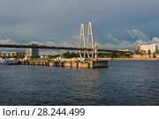 Причал Уткина заводь и Соляной причал на реке Нева, около Вантового моста, Санкт-Петербург (2017 год). Стоковое фото, фотограф Pukhov K / Фотобанк Лори