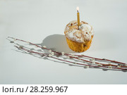Easter. Стоковое фото, фотограф Дарья Богитова / Фотобанк Лори
