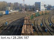 Вагоны груженные лесом на железнодорожных путях сортировочной станции (2018 год). Редакционное фото, фотограф Виктор Карасев / Фотобанк Лори