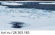 Rapids in polynya of Altai river Katun with banks covered by ice and snow in winter season. Стоковое видео, видеограф Сергей Пристяжнюк (Serg Zastavkin) / Фотобанк Лори