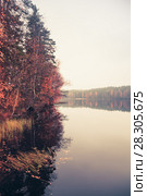 Autumn landscape with fog and threes. Стоковое фото, фотограф EugeneSergeev / Фотобанк Лори