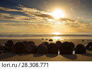 The Moeraki Boulders are unusually large and spherical boulders lying along a stretch of Koekohe Beach on the wave-cut Otago coast of New Zealand between Moeraki and Hampden. Стоковое фото, агентство BE&W Photo / Фотобанк Лори