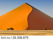 Sharp border of light and shadow over the crest of the dune at sunrise at Sossusvlei Namib Desert, Namib-Naukluft National Park of Namibia. Стоковое фото, агентство BE&W Photo / Фотобанк Лори
