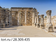 Ruins of the old synagogue in Capernaum by the Sea of Galilee, Israel. Стоковое фото, агентство BE&W Photo / Фотобанк Лори