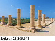 Roman old marbe column square in Caesarea Archaeological site, Israel. Стоковое фото, агентство BE&W Photo / Фотобанк Лори