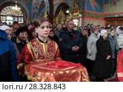 Пасхальный визит митрополита Ювеналия в Богородское благочиние 2017 год. Редакционное фото, фотограф Дмитрий Неумоин / Фотобанк Лори