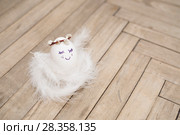Easter. Стоковое фото, фотограф Дарья Богитова / Фотобанк Лори