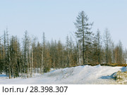 Заполярье, Ямало-Ненецкий округ, Тазовский район, месторождение "Русское", в 135 км от порта Находка Тюменской области гигантское месторождение тяжелой нефти,  окрестные заполярные пейзажи. Весна, снег, проталины. Стоковое фото, фотограф Александр Циликин / Фотобанк Лори