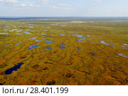 Усть-Тегусское нефтяное месторождение , Уватский район, Тюменская область,  строительство дорожного покрытия,  подъездных дорог к кустовой площадке, вид с вертолета. Стоковое фото, фотограф Александр Циликин / Фотобанк Лори