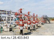 Россия, Тюменская область, Уватский район; Усть-Тегусское нефтяное месторождение; Кустовая площадка №1. глубинные насосы, задвижки на скважинах. Стоковое фото, фотограф Александр Циликин / Фотобанк Лори