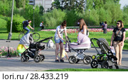 Moscow, Russia - May 15. 2018. Moms with strollers walk along boulevard in Zelenograd. Редакционное видео, видеограф Володина Ольга / Фотобанк Лори