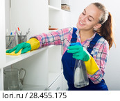 portrait of young woman cleaning. Стоковое фото, фотограф Яков Филимонов / Фотобанк Лори