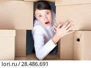 Young woman surrounded by carboard boxes. Стоковое фото, фотограф Kirill Kedrinskiy / Ingram Publishing / Фотобанк Лори