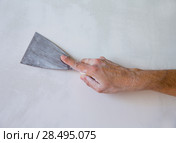 Plastering man hand with plaste and plaster spatula trowel in wall. Стоковое фото, фотограф Tono Balaguer / Ingram Publishing / Фотобанк Лори