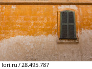 Ciutadella Menorca wooden shutter window on grunge yellow downtown wall at Balearic islands (2013 год). Стоковое фото, фотограф Tono Balaguer / Ingram Publishing / Фотобанк Лори