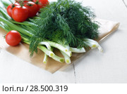 Fresh organic vegetable set of tomatoes dill and onion on white kitchen table. Стоковое фото, фотограф Olena Mykhaylova / Ingram Publishing / Фотобанк Лори