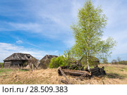 Река Выша (Пензенская область, Земетченский район) Стоковое фото, фотограф Владимир Федечкин / Фотобанк Лори