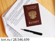 Паспорт Российской Федерации, шариковая ручка и трудовой договор открытый на разделах "Порядок урегулирования споров", "Иные условия" Стоковое фото, фотограф Евгений Бусурманов / Фотобанк Лори
