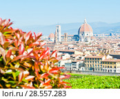Вид на Собор Санта-Мария-дель-Фьоре (La Cattedrale di Santa Maria del Fiore; Собор Святой Марии в цветах). Весенний солнечный день. Флоренция. Италия (2018 год). Стоковое фото, фотограф E. O. / Фотобанк Лори