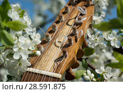 Vihuela de mano of the 16th century. Стоковое фото, фотограф Дмитрий Черевко / Фотобанк Лори