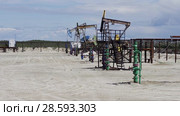 Добыча нефти. Насосная установка. Pumpjack. Стоковое видео, видеограф Евгений Романов / Фотобанк Лори