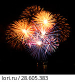 Celebratory firework in a night sky. Стоковое фото, фотограф ElenArt / Фотобанк Лори