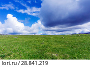 Summer arctic landscape - grassy rocky tundra under a blue sky with clouds. Стоковое фото, фотограф Евгений Харитонов / Фотобанк Лори