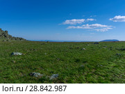 Summer arctic landscape - grassy rocky tundra under a blue sky. Стоковое фото, фотограф Евгений Харитонов / Фотобанк Лори