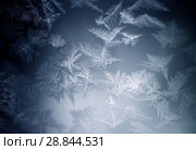 Frosty pattern on winter window. Стоковое фото, фотограф ElenArt / Фотобанк Лори