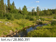Summer landscape. Forest River in Finnish Lapland. Стоковое фото, фотограф Валерия Попова / Фотобанк Лори