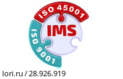 IMS. ISO Integrated Management System. The check mark in the form of a puzzle. Стоковая анимация, аниматор WalDeMarus / Фотобанк Лори