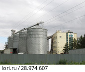 Агрохолдинг "Чебаркульская птица" (2018 год). Редакционное фото, фотограф Елена Осетрова / Фотобанк Лори