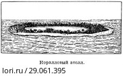 Коралловый атолл. Коралловые острова. Стоковая иллюстрация, иллюстратор Макаров Алексей / Фотобанк Лори