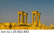 Panorama of Palmyra columns Tetrapylon and ancient city, destroyed ISIS Syria (2011 год). Стоковое фото, фотограф Сергей Майоров / Фотобанк Лори