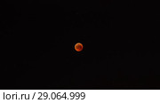 Total lunar eclipse on July 28, 2018. Timelapse. Полное лунное затмение. Стоковое видео, видеограф Евгений Романов / Фотобанк Лори
