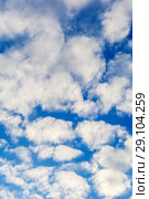 Background - blue day sky with white cirro-cumulus clouds. Стоковое фото, фотограф Евгений Харитонов / Фотобанк Лори